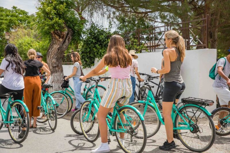 Carthage: Guided Bike Tour of the Archaeological Site - Language Options