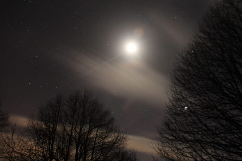 Carvajal De Gredos: Stargazing From the Ancient Forest - Key Points