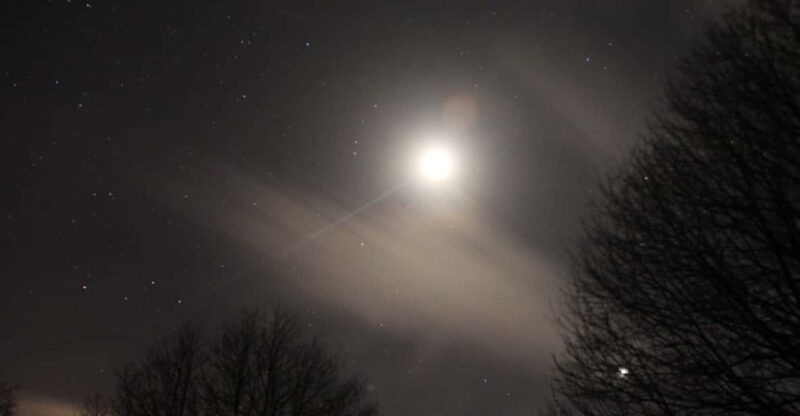 Carvajal De Gredos: Stargazing From the Ancient Forest - Experience Highlights