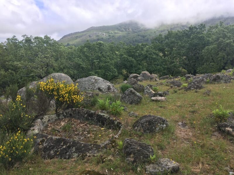 Carvajal De Gredos: Stargazing From the Ancient Forest - Guided Tour Details