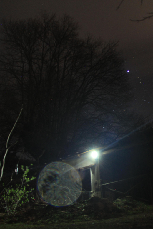 Carvajal De Gredos: Stargazing From the Ancient Forest - Cultural Immersion