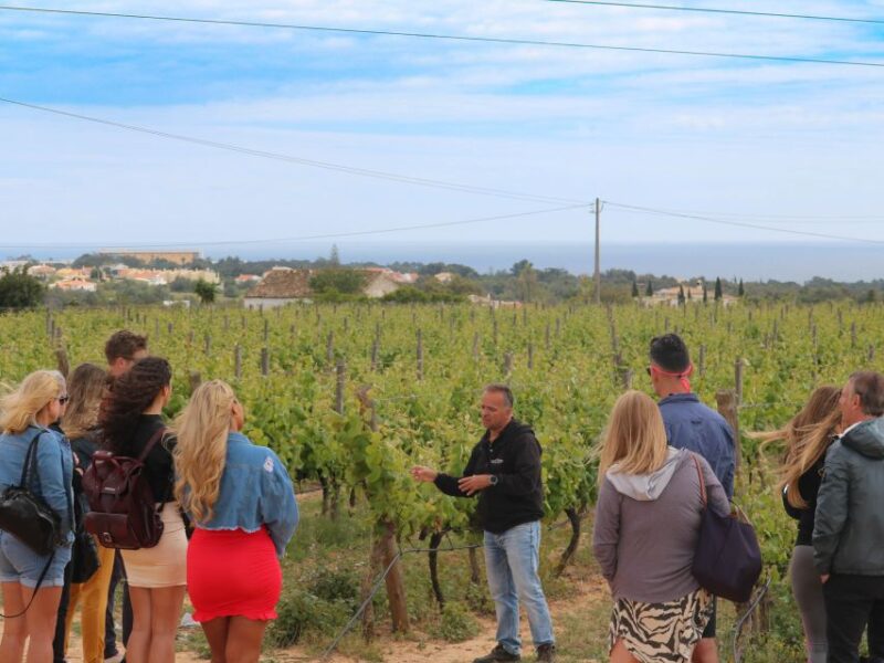 Carvoeiro/Portimão/Alvor: Wine Tour With Tasting, Tapas, Music - Availability and Cancellation