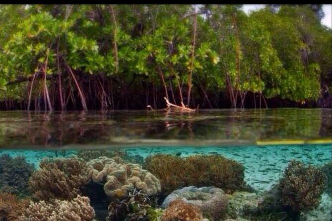 Cas Cay - Kayak Hike and Snorkel Adventure - Booking Information