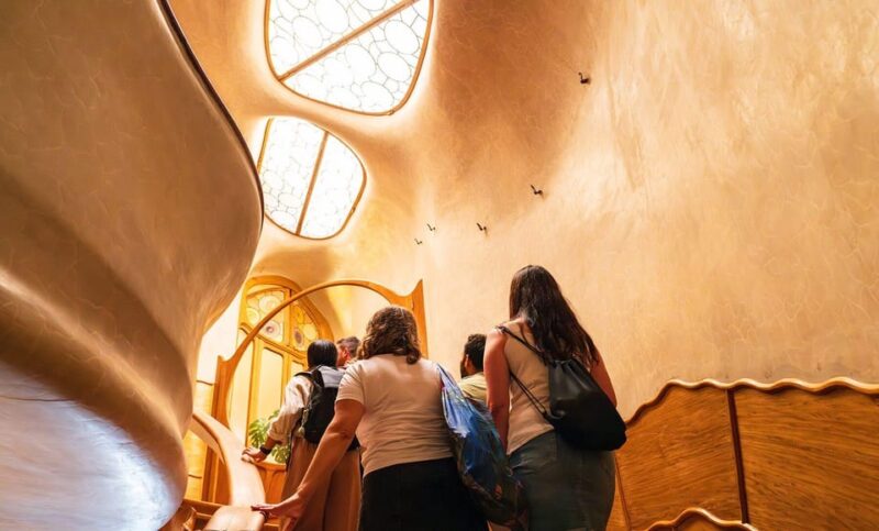 Casa Batlló Tour With Optional White Rabbit Museum Entry - Visitor Information and Accessibility