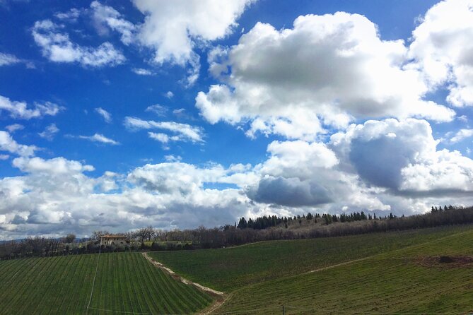 Casa Emma Wine Tasting - Exploring the Wine Varietals