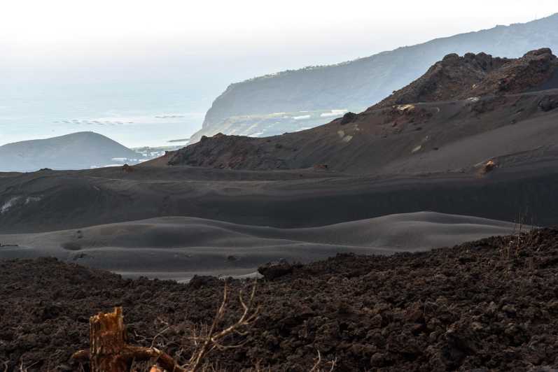 Casa La Resistencia, Surviving a Volcano - Key Points