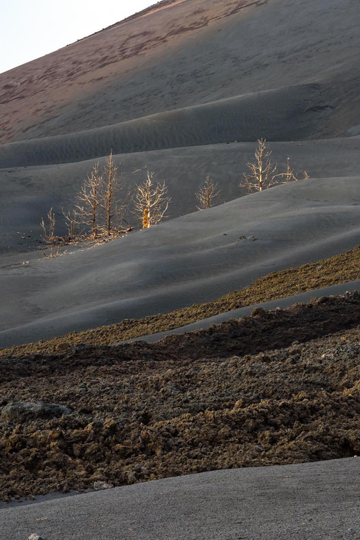Casa La Resistencia, Surviving a Volcano - Inclusions and Restrictions