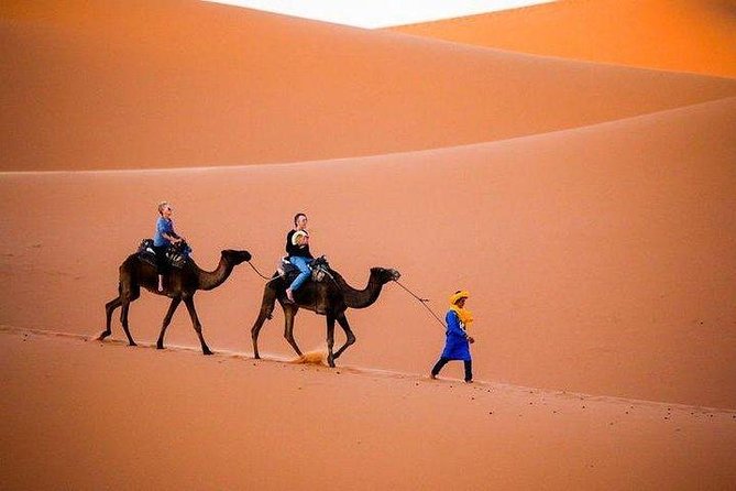 Casablanca 3 Day Itinerary - Accessibility