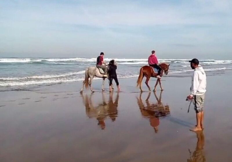 Casablanca City Tour Adventure & Savory Lunch - Key Points
