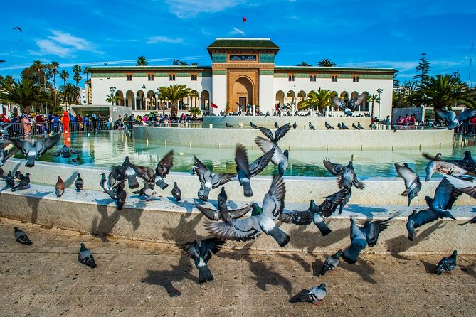 Casablanca Half-Day Guided Tour - Memorable Experiences