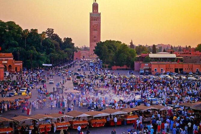 Casablanca Layover Private Tour to Marrakech With Airport Round-Trip Transfer - Experience Unique Attractions