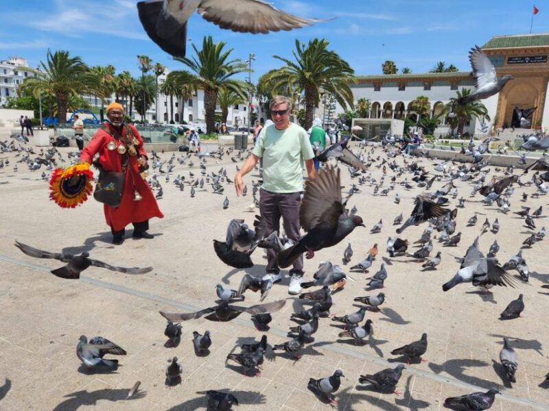 Casablanca: Layover Tour With Airport Pick-up - Itinerary Highlights
