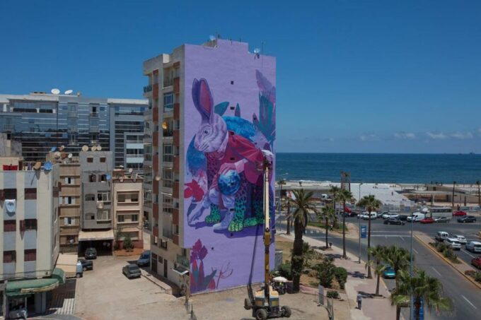 Casablanca: Private or Group Guided City Tour - Inclusions and Exclusions