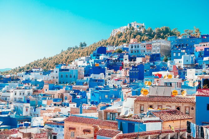 Casablanca to Chefchaouen Private Transfer - Reviews