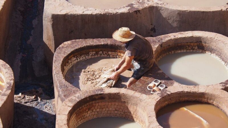 Casablanca To Fez Full-Day Trip - Tour Experience