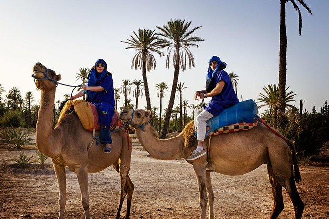 Casablanca to Marrakech Day Trip With Camel Ride - Guide Performance Evaluation