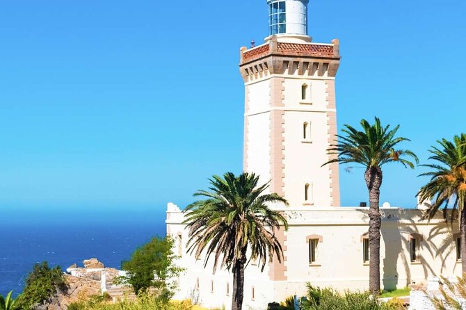 Casablanca to Tangier Day Trip by High-Speed Train - Traveler Reviews and Feedback