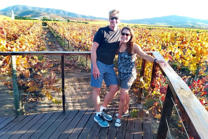 Casablanca Valley & Casa Del Bosque - 3 Vineyards - Full Day - Inclusions and Logistics