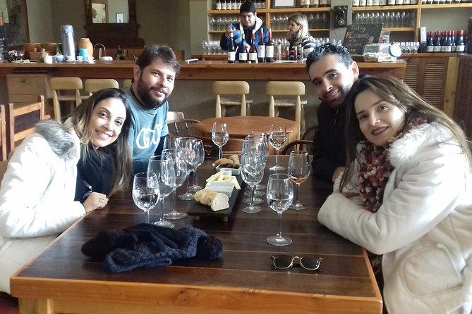 Casablanca Valley & Casa Del Bosque - 3 Vineyards - Full Day - Transportation and Pickup Information