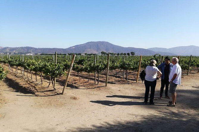 Casablanca Valley Experience - Lunch at Local Restaurant