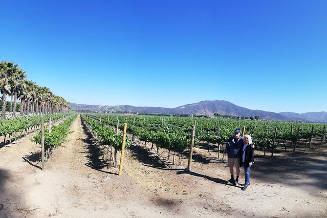 Casablanca Valley Experience - Accessibility and Additional Information