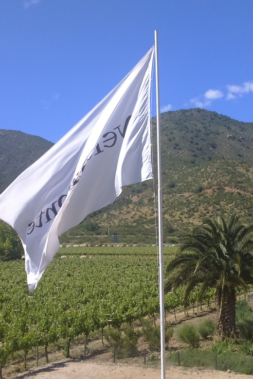 Casablanca Valley: Full-Day Private Wine Tour - Key Points
