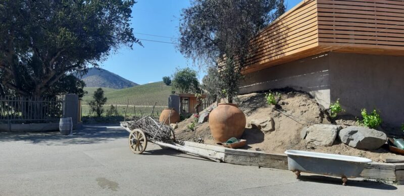 Casablanca Valley: Full-Day Private Wine Tour - Important Considerations