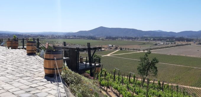 Casablanca Valley: Full-Day Private Wine Tour - Frequently Asked Questions