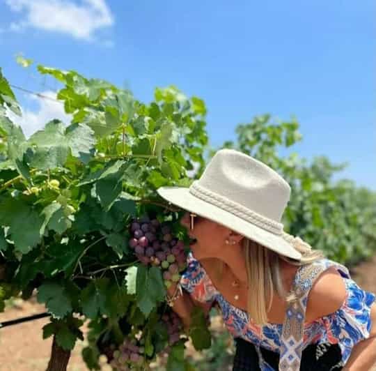 Casablanca Valley Wine Experience - Key Points