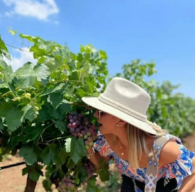 Casablanca Valley Wine Experience - Scenic Views and Photo Stops