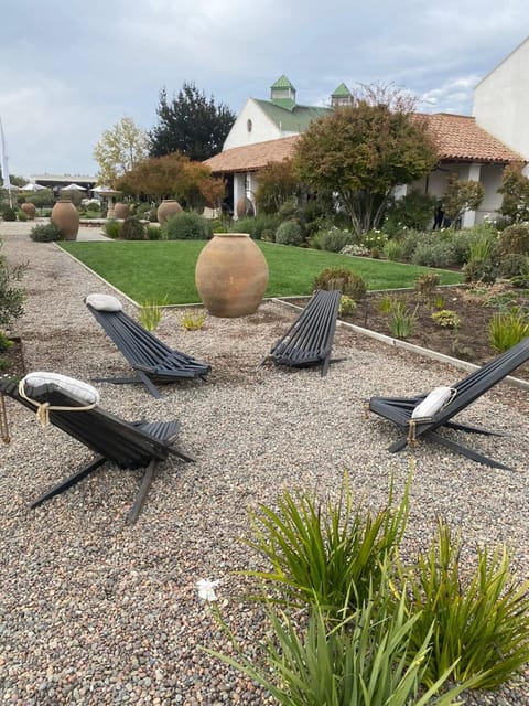 Casablanca Valley Wine Experience - Key Points