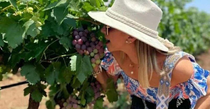 Casablanca Valley Wine Experience - Included Features