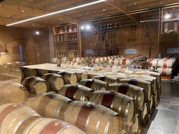 Casablanca Valley Wine Experience - Winery Experiences