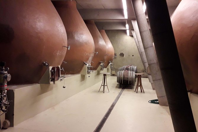 Casablanca Wine Innovation Tour: Bodegas RE and Casas Del Bosque - Key Points