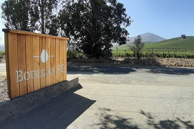 Casablanca Wine Innovation Tour: Bodegas RE and Casas Del Bosque - Winemaking at Bodegas RE