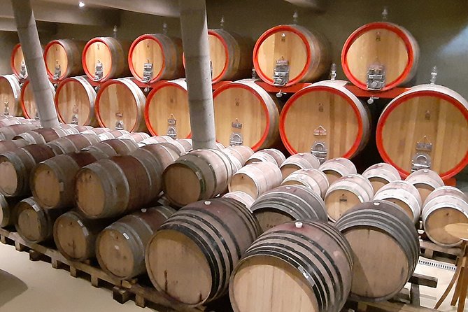 Casablanca Wine Innovation Tour: Bodegas RE and Casas Del Bosque - Wines and Experiences at Casas Del Bosque