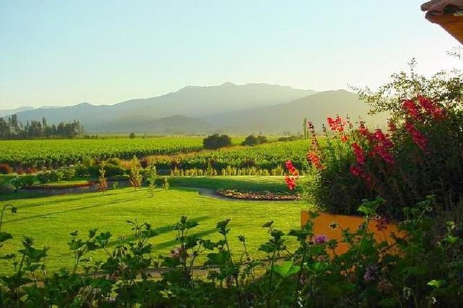 Casablanca Wine Tour With Valparaiso and Viña Del Mar - Included Services