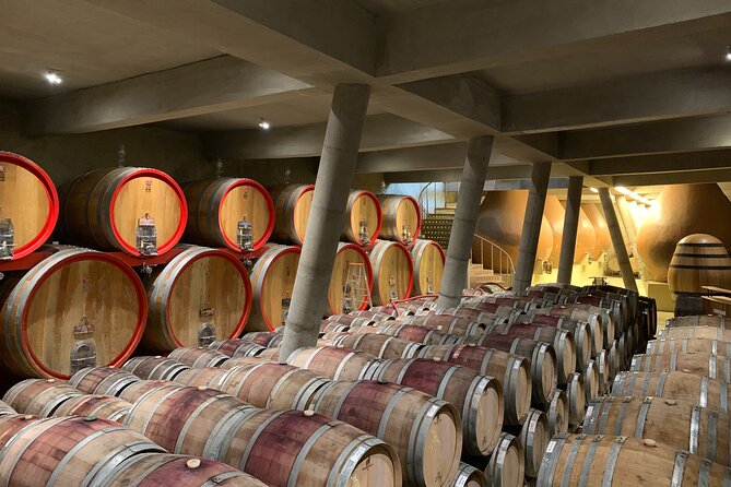 Casablanca Wine Valley LGBT+ - Casablancas LGBTQ+ Wine Tasting Experiences