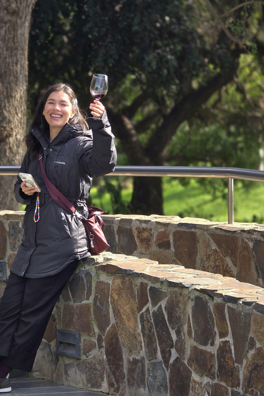 Casablanca World Class Wines, Visiting 4 Vineyards - Vineyard Experiences
