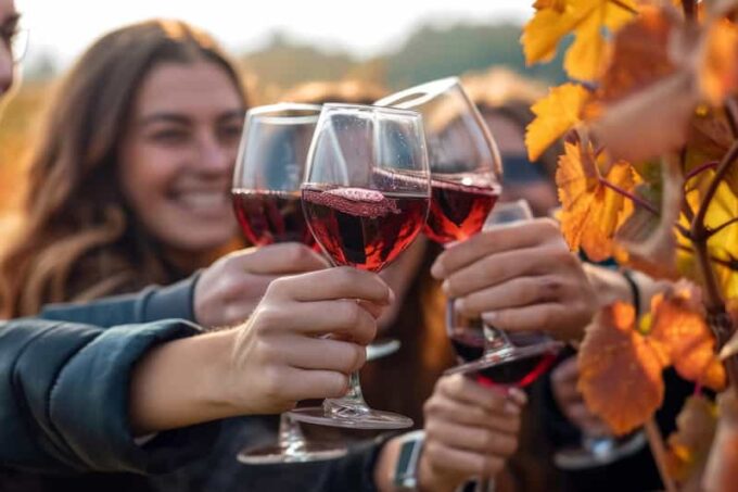 Casablanca World Class Wines, Visiting 4 Vineyards - Tour Duration and Cancellation