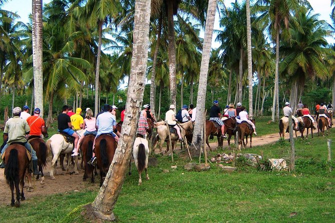 Cascada Limon and Cayo Levantado From La Romana - Tour Overview and Details