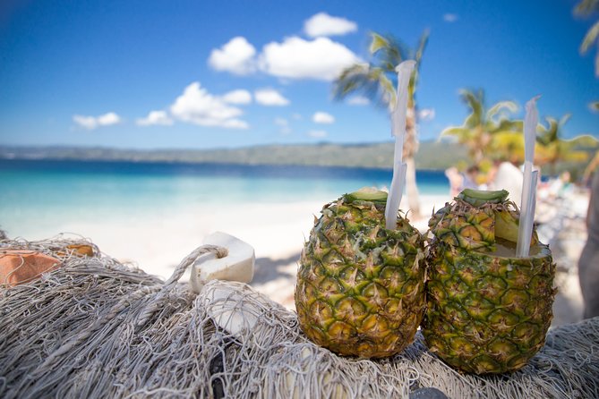Cascada Limon and Cayo Levantado From La Romana - Guest Feedback and Concerns