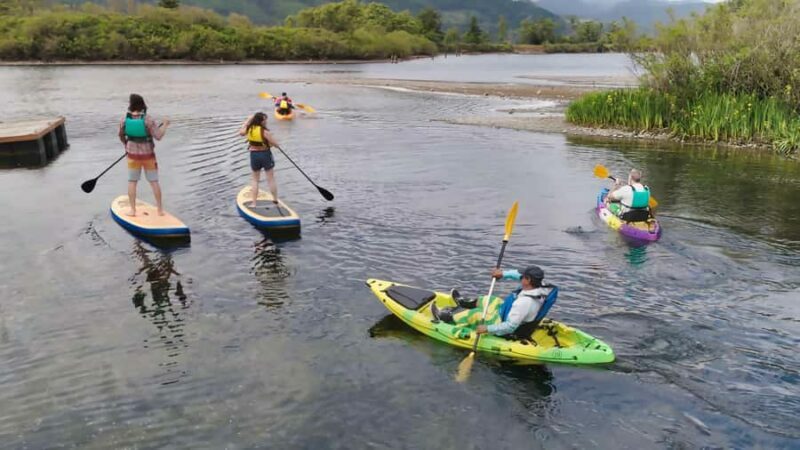 Cascade Locks: Columbia River Gorge Kayak Tour - The Bottom Line