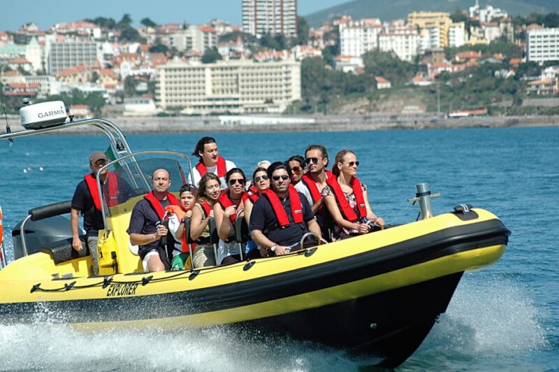 Cascais: Dolphin Watching Speedboat Tour - Customer Feedback