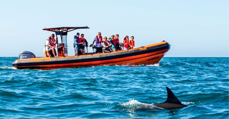 Cascais: Dolphin Watching Tour - Prohibited Actions