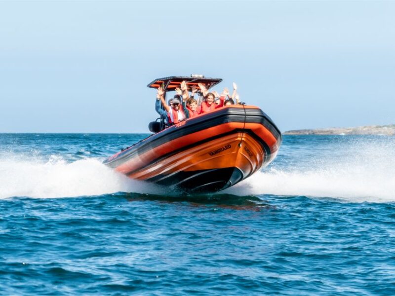 Cascais: Dolphin Watching Tour - Booking Information
