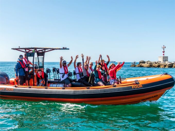 Cascais: Dolphin Watching Tour - Restrictions