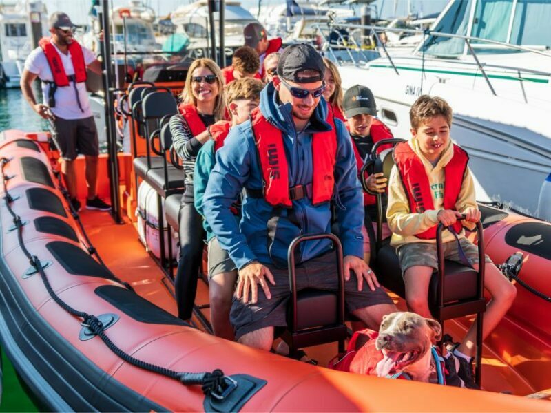 Cascais: Dolphin Watching Tour - A Closer Look at the Experience
