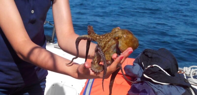 Cascais: Family Fishing With Welcome Drinks - Customer Feedback
