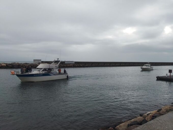 Cascais: Family Fishing With Welcome Drinks - Languages and Accessibility
